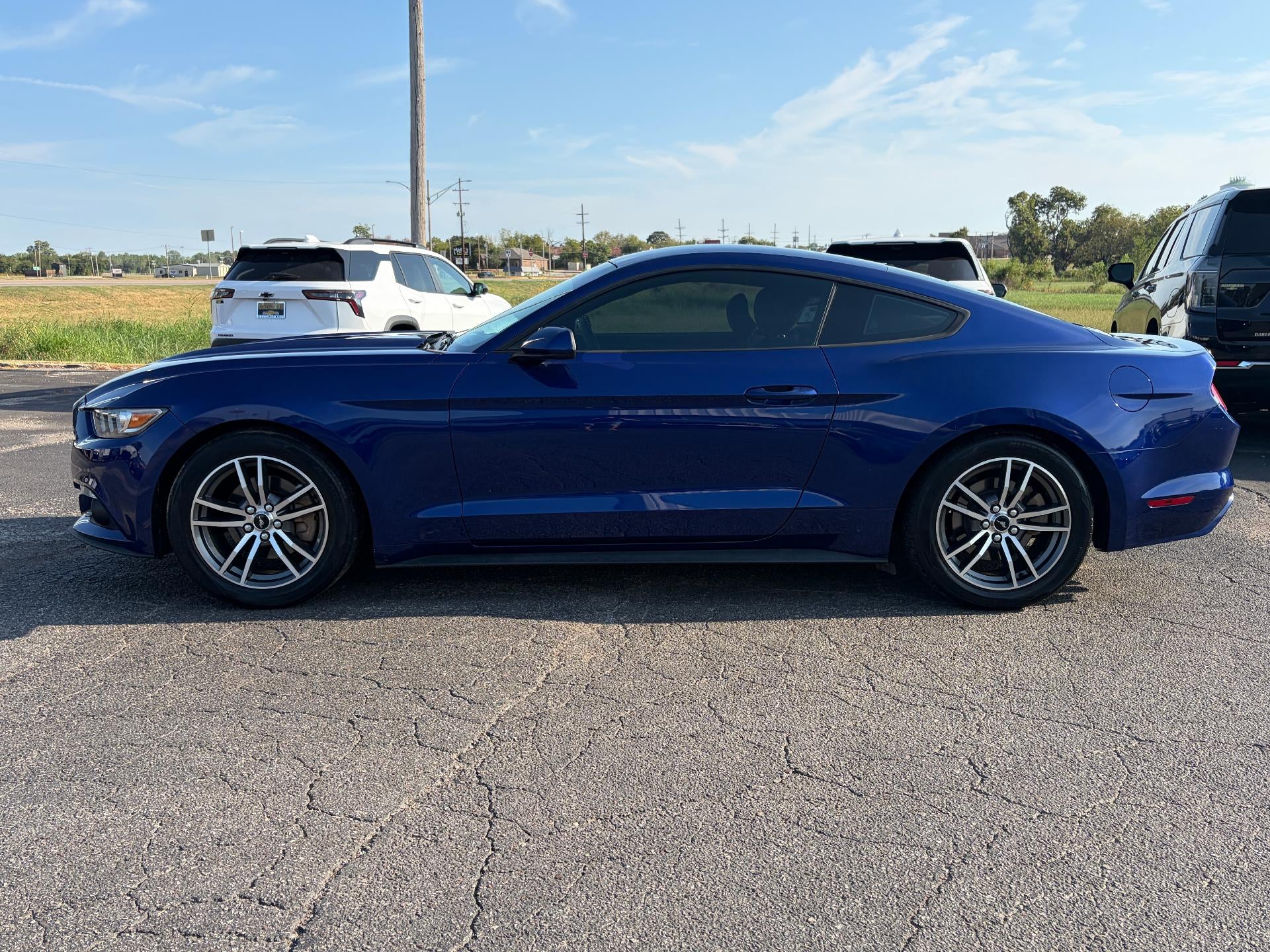 Used 2016 Ford Mustang EcoBoost with VIN 1FA6P8TH3G5209113 for sale in Seminole, OK